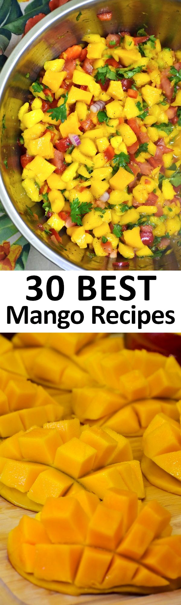 30 BEST Mango Recipes.