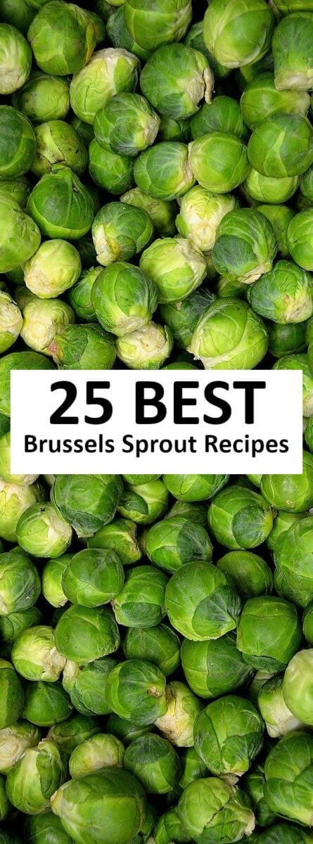 The 25 BEST Brussels Sprout Recipes.